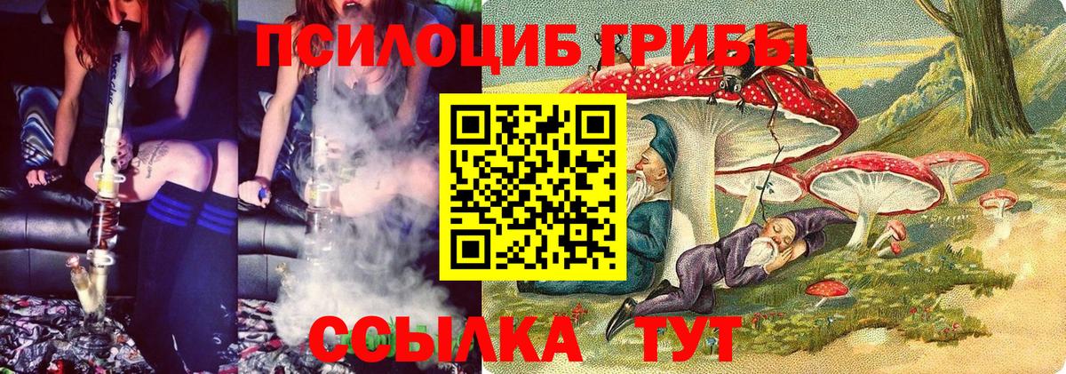 Истра  Галлюциногенные грибы Psilocybine cubensis  Вход с VPN  Галлюциногенные грибы Psilocybe 
